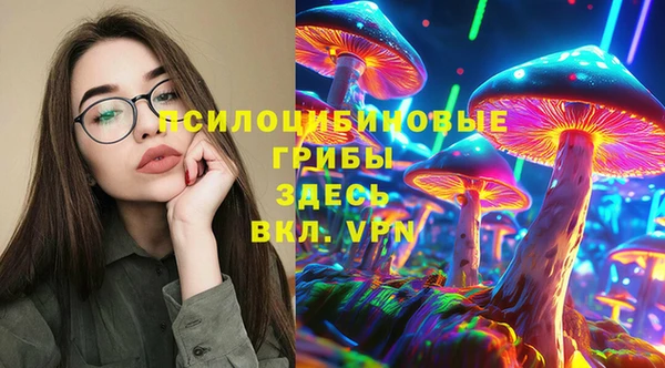 стафф Вязьма